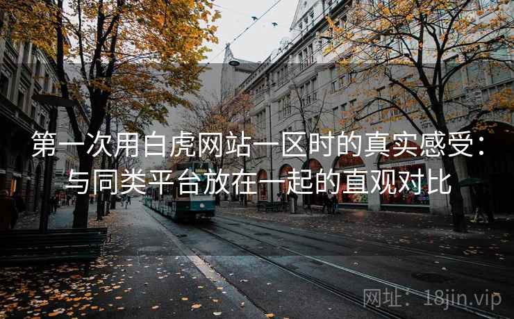 第一次用白虎网站一区时的真实感受:与同类平台放在一起的直观对比