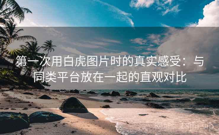 第一次用白虎图片时的真实感受：与同类平台放在一起的直观对比