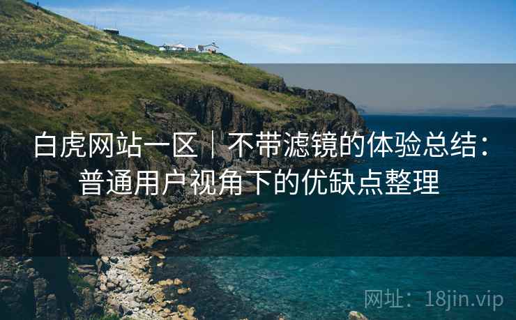 白虎网站一区｜不带滤镜的体验总结：普通用户视角下的优缺点整理