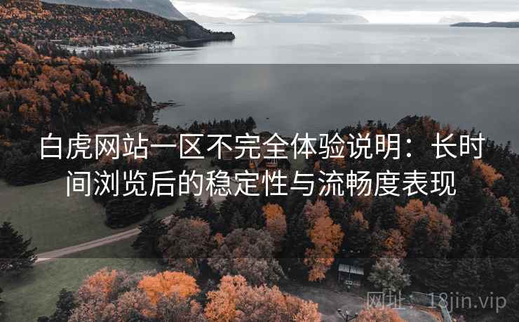 白虎网站一区不完全体验说明:长时间浏览后的稳定性与流畅度表现