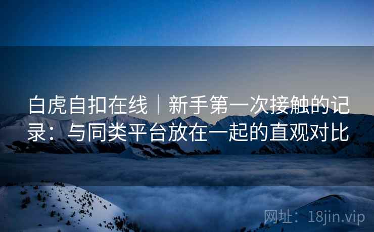 白虎自扣在线｜新手第一次接触的记录：与同类平台放在一起的直观对比