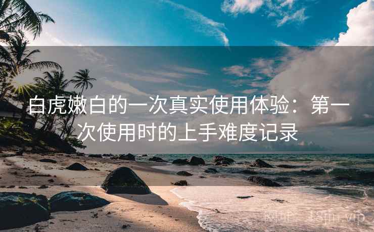 白虎嫩白的一次真实使用体验：第一次使用时的上手难度记录