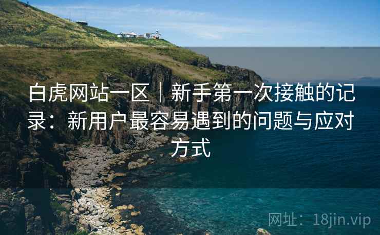 白虎网站一区|新手第一次接触的记录:新用户最容易遇到的问题与应对方式