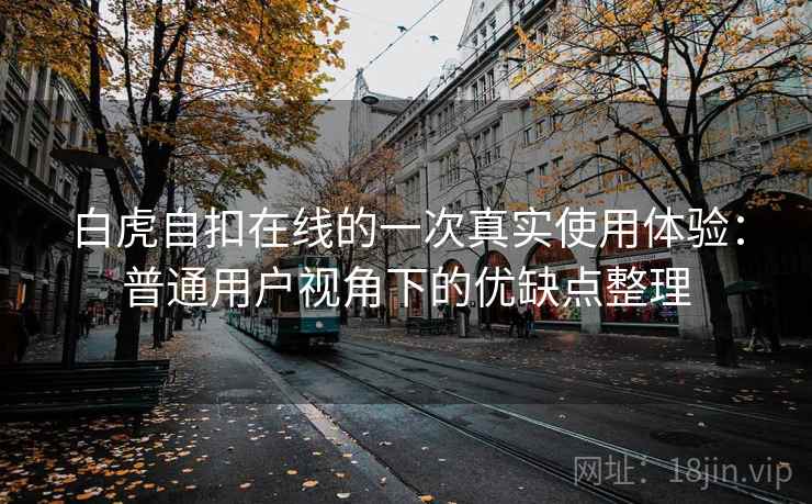 白虎自扣在线的一次真实使用体验：普通用户视角下的优缺点整理