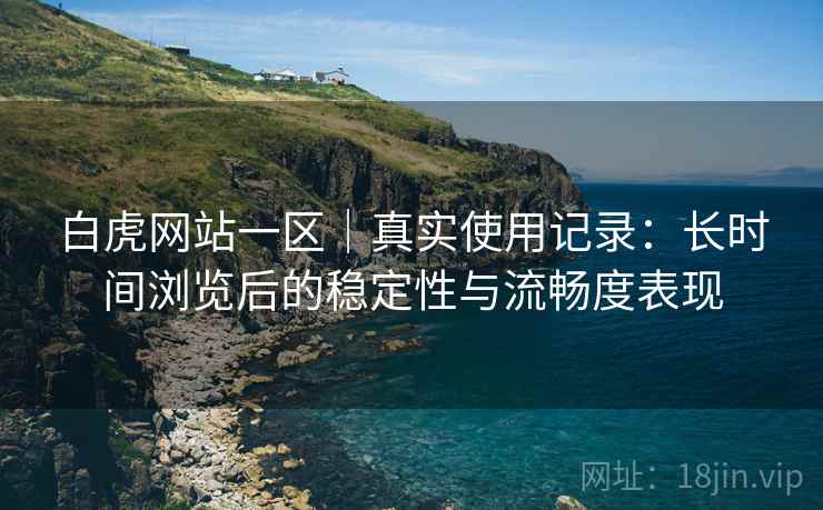 白虎网站一区|真实使用记录:长时间浏览后的稳定性与流畅度表现