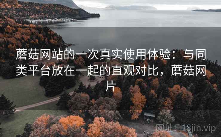 蘑菇网站的一次真实使用体验：与同类平台放在一起的直观对比，蘑菇网片