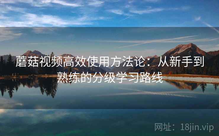 蘑菇视频高效使用方法论:从新手到熟练的分级学习路线