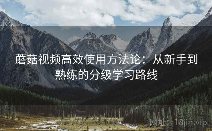 蘑菇视频高效使用方法论：从新手到熟练的分级学习路线