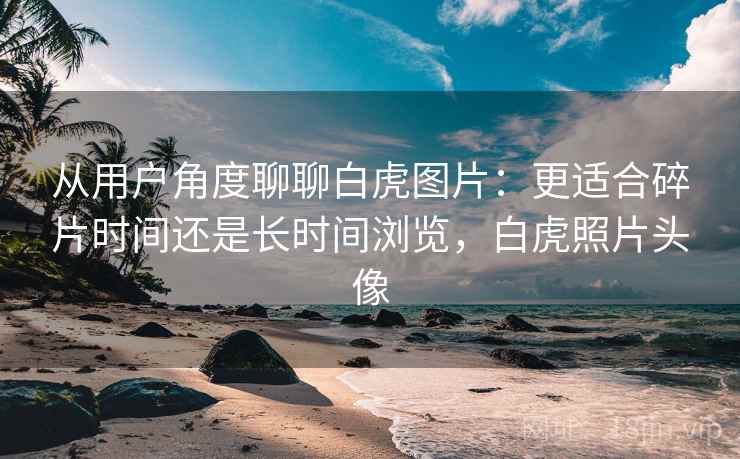 从用户角度聊聊白虎图片:更适合碎片时间还是长时间浏览,白虎照片头像