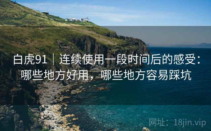 白虎91|连续使用一段时间后的感受:哪些地方好用,哪些地方容易踩坑