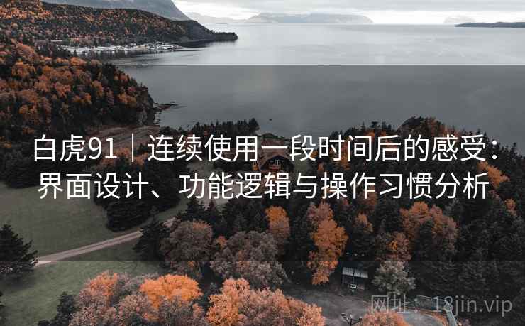白虎91|连续使用一段时间后的感受:界面设计、功能逻辑与操作习惯分析