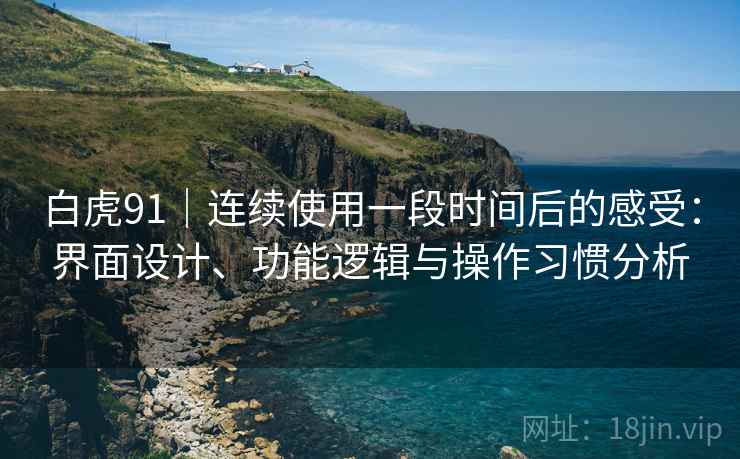 白虎91|连续使用一段时间后的感受:界面设计、功能逻辑与操作习惯分析