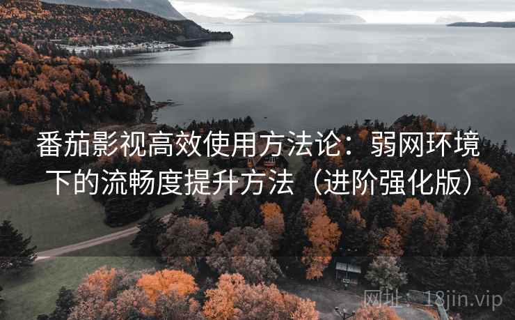 番茄影视高效使用方法论:弱网环境下的流畅度提升方法(进阶强化版)
