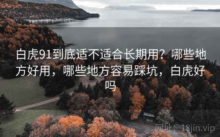 白虎91到底适不适合长期用?哪些地方好用,哪些地方容易踩坑,白虎好吗
