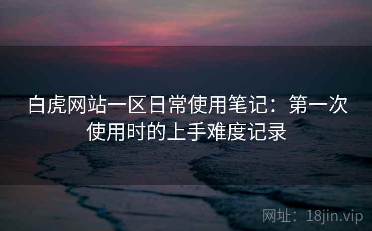 白虎网站一区日常使用笔记:第一次使用时的上手难度记录